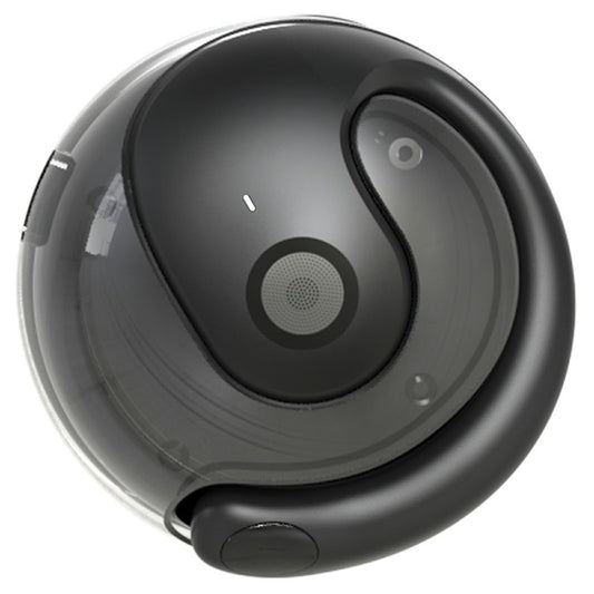Wireless Translation Earphones - S&N Gadgets